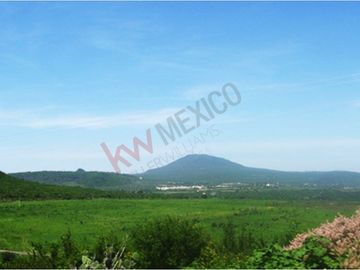 TERRENO EN VENTA DE 8,395 m2 EN ZONA CAMPESTRE Y TRANQUILA