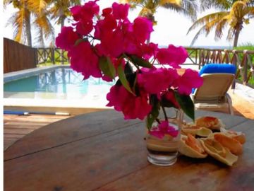 Casa Blanca. Beachfront house for sale in Sisal