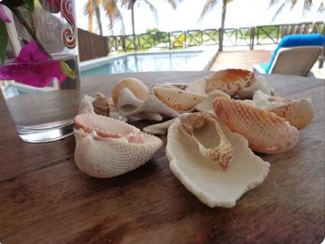 Casa Blanca. Beachfront house for sale in Sisal