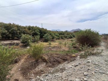 En Venta Amplio Terreno de 1.73 Ha en  Viru- La Libertad
