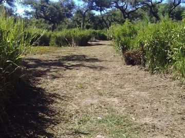 Casa en venta - 1 Dormitorio 1 Baño - 107.882Mts2 - Tigre