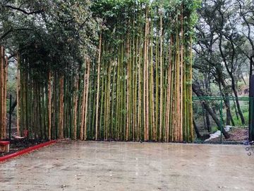 MANSIÓN EN VENTA EN REAL DE HACIENDA.
