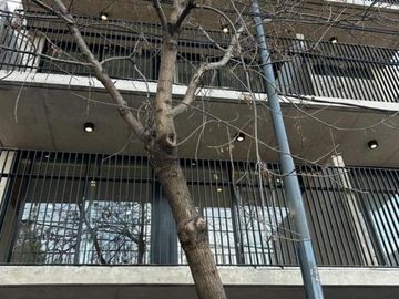 Monoambiente con patio - Jardin