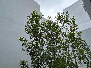 Monoambiente con patio - Jardin