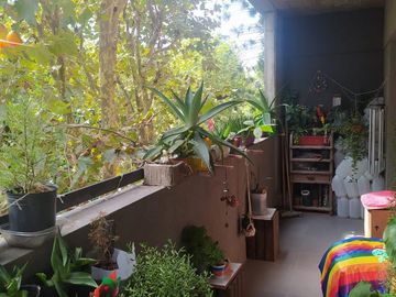 Departamento - Tigre