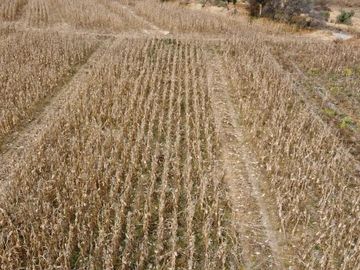 VENTA DE TERRENO EN SAN MIGUEL ZACANGO MUY CERCA DE RESIDENCIAL BONANZA