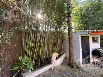 Residencia Venta  Fraccionamiento Lomas de Providencia