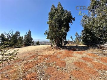 Parcela en Venta en Condominio Valle Verde Mar, Limache
