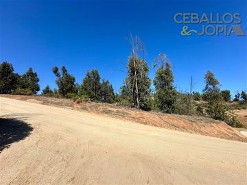 Parcela en Venta en Condominio Valle Verde Mar, Limache