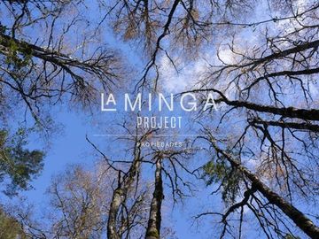 Sitio en Venta en Panguipulli