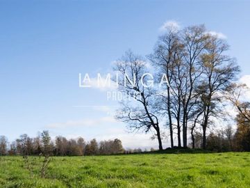 Sitio en Venta en Panguipulli