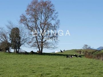 Sitio en Venta en Panguipulli