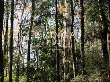 Sitio en Venta en Panguipulli