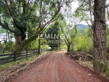 Sitio en Venta en Lago Ranco Calcurrupe