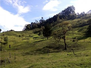 FINCA EN VENTA, GENOVA QUINDIO