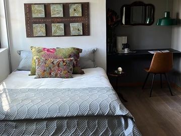 Casa en renta amueblada calle cerrada c/ vigilancia San Ángel Inn Álvaro Obregón