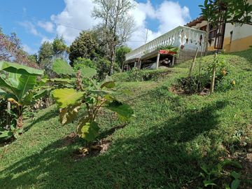 Finca En Venta Cerca Concepción Barbosa