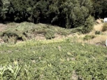 Sitio en Venta en Camino Arauco a LLico