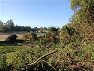 Sitio en Venta en Camino Arauco a LLico