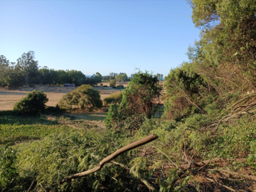 Sitio en Venta en Camino Arauco a LLico