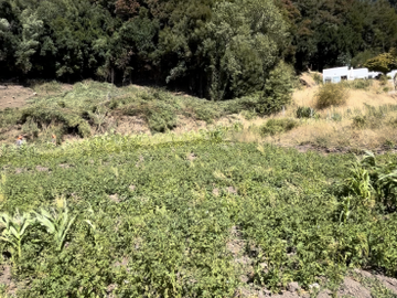 Sitio en Venta en Camino Arauco a LLico
