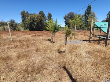 Parcela en venta en PINTO