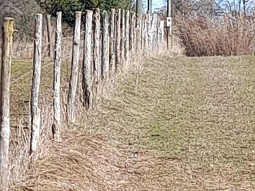 Parcela en venta en PINTO