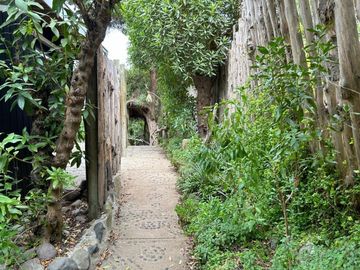 MAITENCILLO NORTE