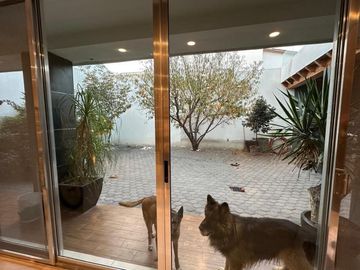 Casa en Venta en Centro Sur con Roof Garden y Sótano, Diseño de Autor