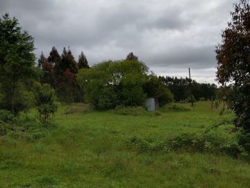 VENTA PARCELA 5140MTS Valdivia