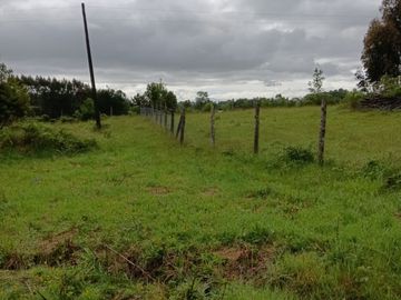 VENTA PARCELA 5140MTS Valdivia