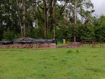 VENTA PARCELA 5140MTS Valdivia