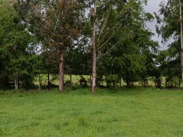 VENTA PARCELA 5140MTS Valdivia