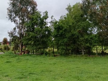 VENTA PARCELA 5140MTS Valdivia