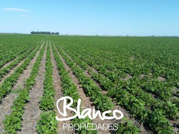 Terreno en Venta en Winifreda, Conhelo, La Pampa, Argentina