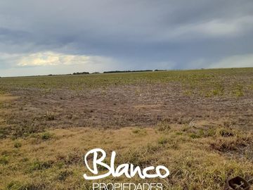 Terreno en Venta en Winifreda, Conhelo, La Pampa, Argentina
