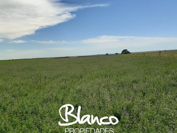 Terreno en Venta en Winifreda, Conhelo, La Pampa, Argentina