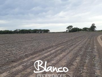 Terreno en Venta en Winifreda, Conhelo, La Pampa, Argentina