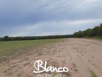 Terreno en Venta en Winifreda, Conhelo, La Pampa, Argentina