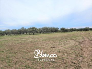 Terreno en Venta en Unanue, Utracan, La Pampa, Argentina