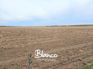 Terreno en Venta en Unanue, Utracan, La Pampa, Argentina