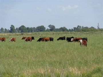 Terreno en Venta en Lihue Calel, Lihuel Calel, La Pampa, Argentina