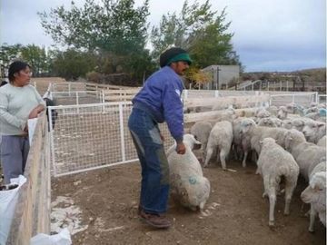 Terreno en Venta en El Calafate, Santa Cruz, Patagonia, Argentina