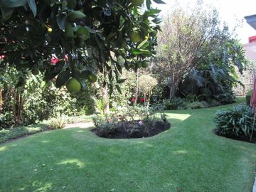 Casa en Venta en COYOACAN CENTRO