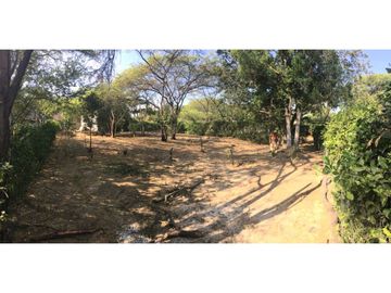 Lote en venta en el sector La Paz por Bello Horizonte en Santa Marta