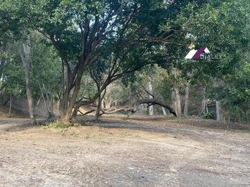 Finca o Quinta en VENTA de 15,000 m2 – CARRETERA NACIONAL Los Sabinos en Allende, Nuevo León.