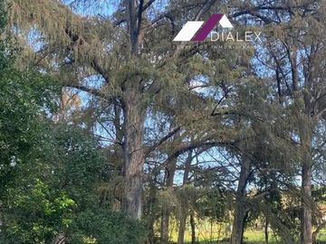 Finca o Quinta en VENTA de 15,000 m2 – CARRETERA NACIONAL Los Sabinos en Allende, Nuevo León.