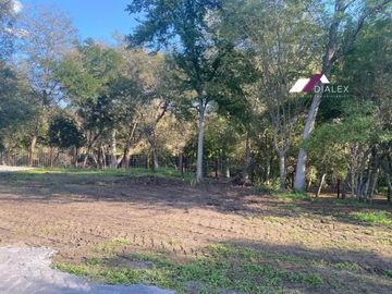Finca o Quinta en VENTA de 15,000 m2 – CARRETERA NACIONAL Los Sabinos en Allende, Nuevo León.