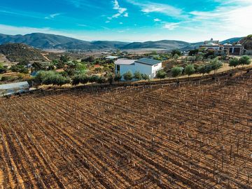 Hacienda San Jose | Propiedad Comercial a la venta en el Valle De Guadalupe