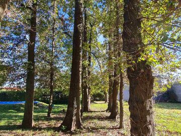 VENTA CASA 4 Amb GRAL LAS HERAS LOTE 1400m PERMUTA